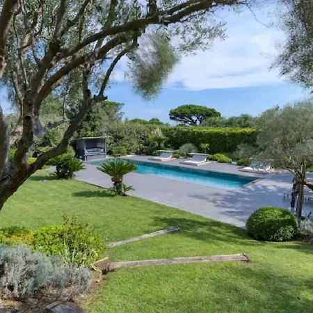 Thivie Saint-Tropez